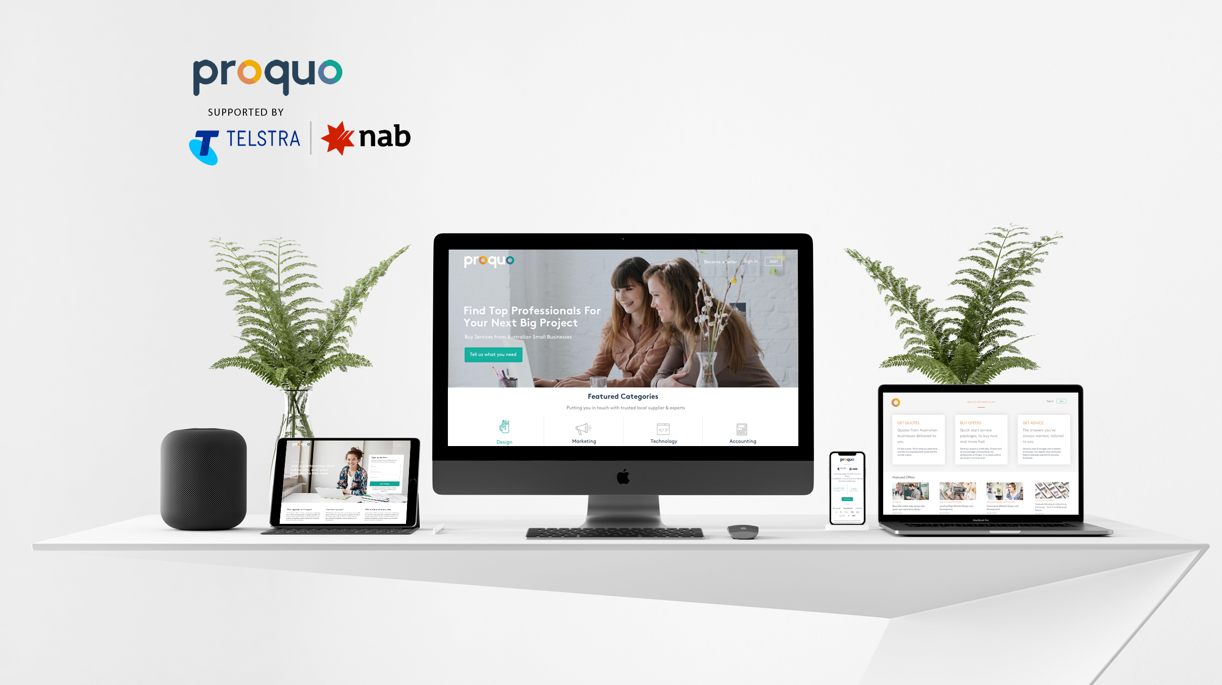 Proquo website Case Study